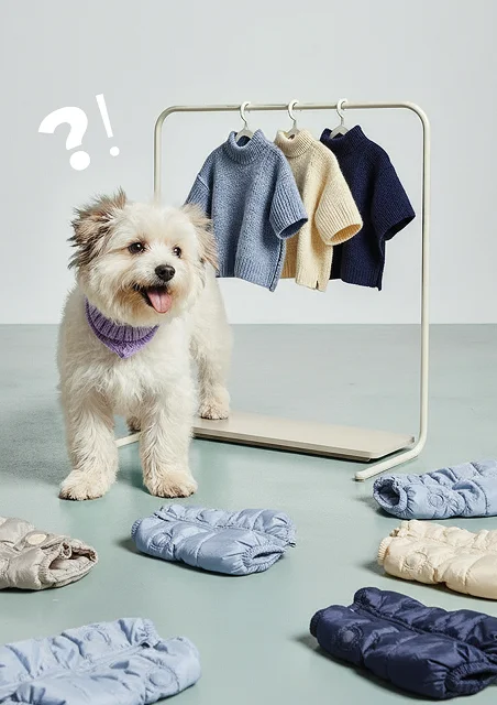 Важно знать