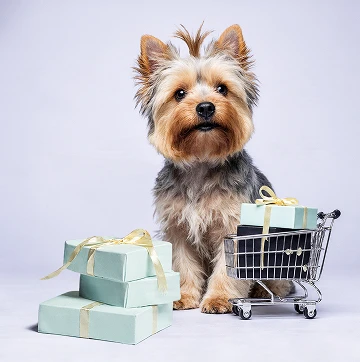 продажа щенков